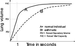 Comparison of normal and asthmatic lung function